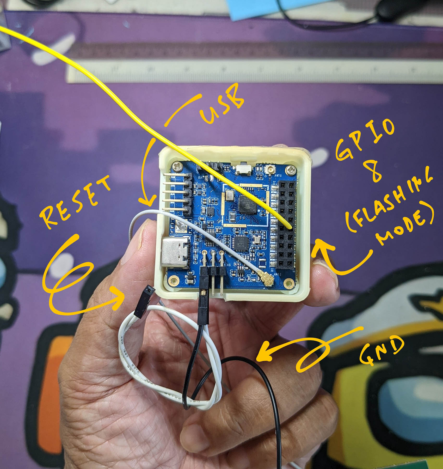 GPIO 8, Reset and Ground on PineDio Stack BL604