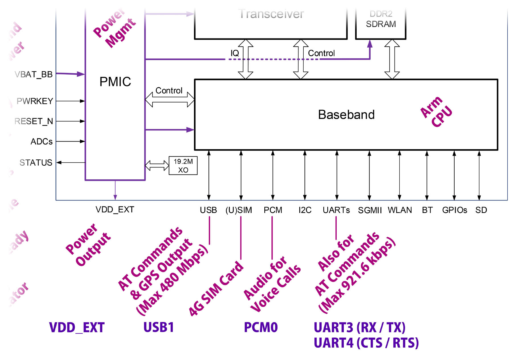 Data Interfaces for LTE Modem