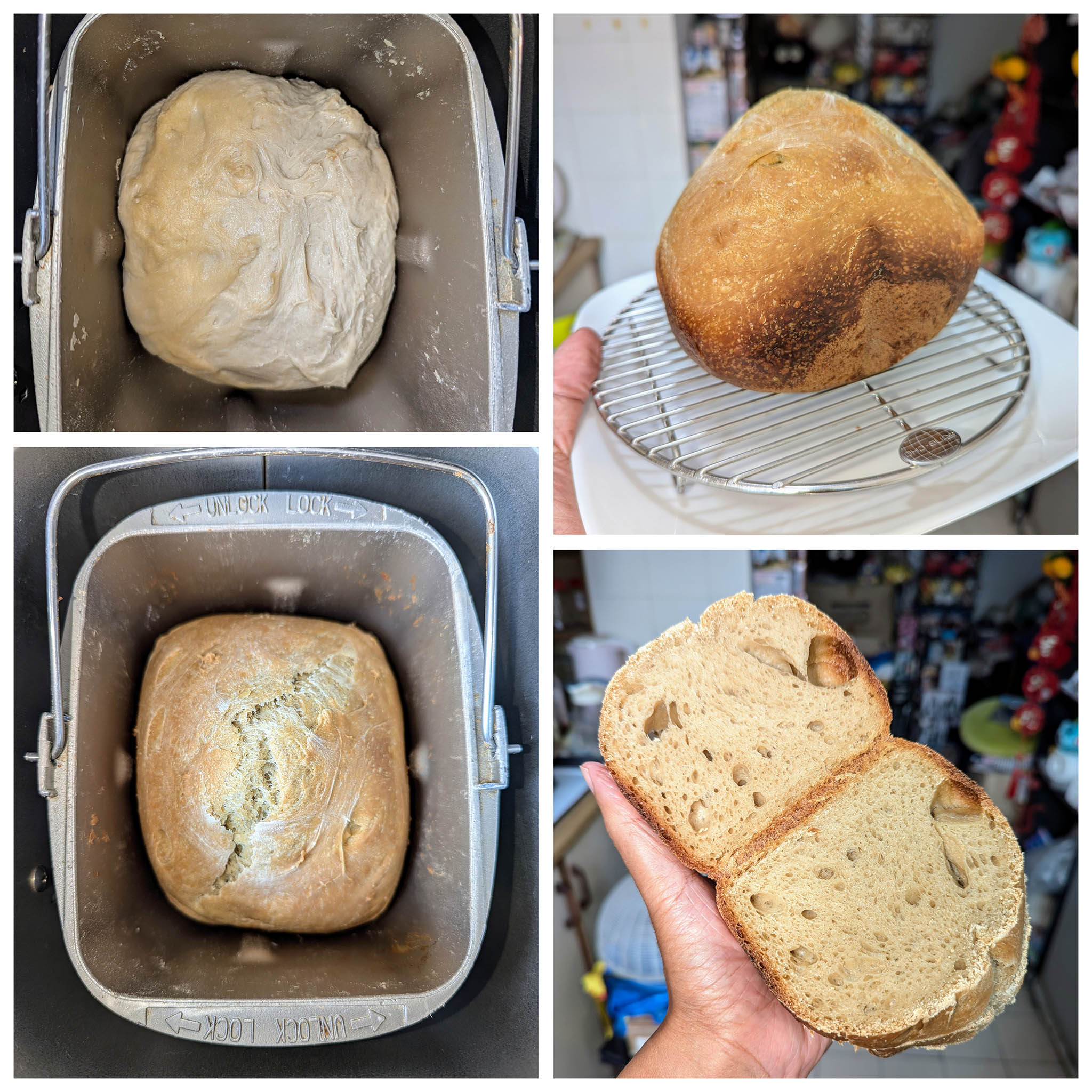 Matcha Soy Sourdough