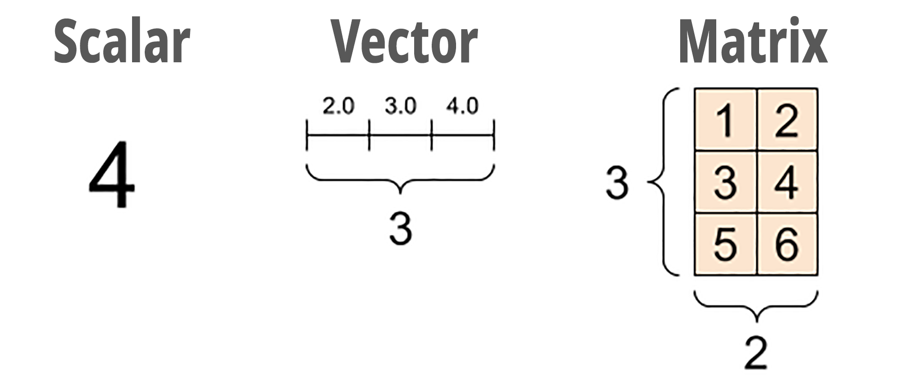 Scalar, Vector, Matrix