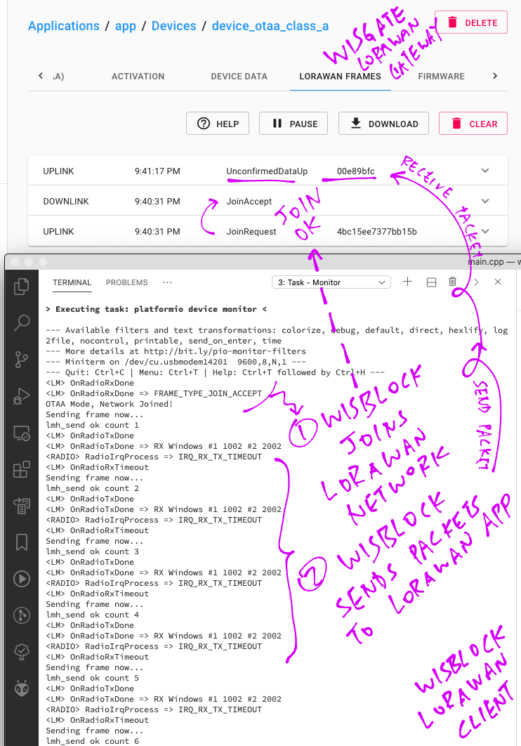 Raw LoRaWAN Data Packet